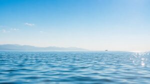 海洋散骨は違法？法律・ルール・マナーと許可の必要性を解説